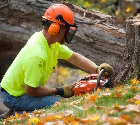 tree services Livingston